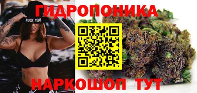 ALPHA PVP Беслан